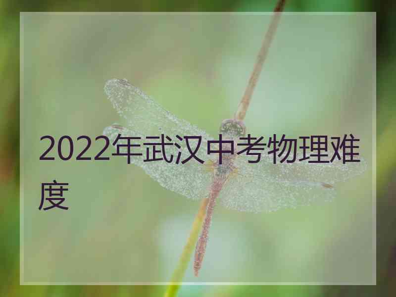 2022年武汉中考物理难度