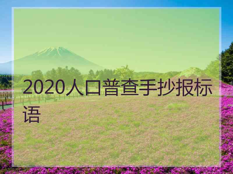 2020人口普查手抄报标语