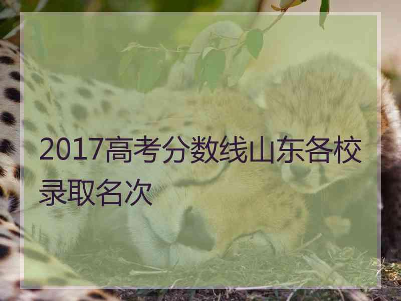 2017高考分数线山东各校录取名次