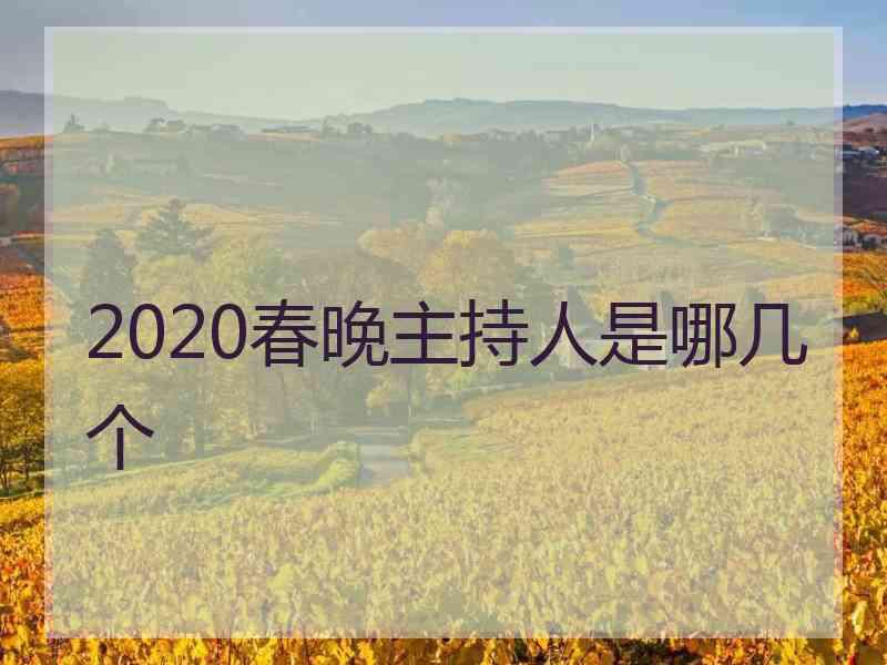 2020春晚主持人是哪几个