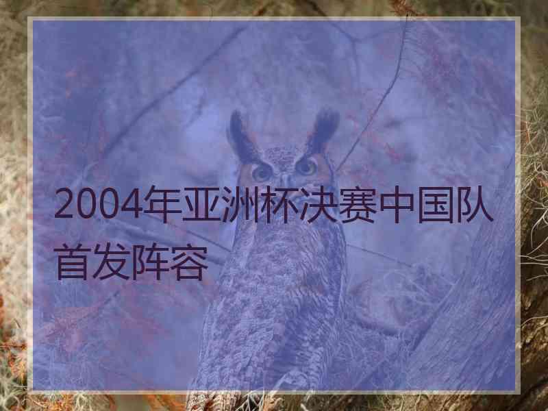 2004年亚洲杯决赛中国队首发阵容