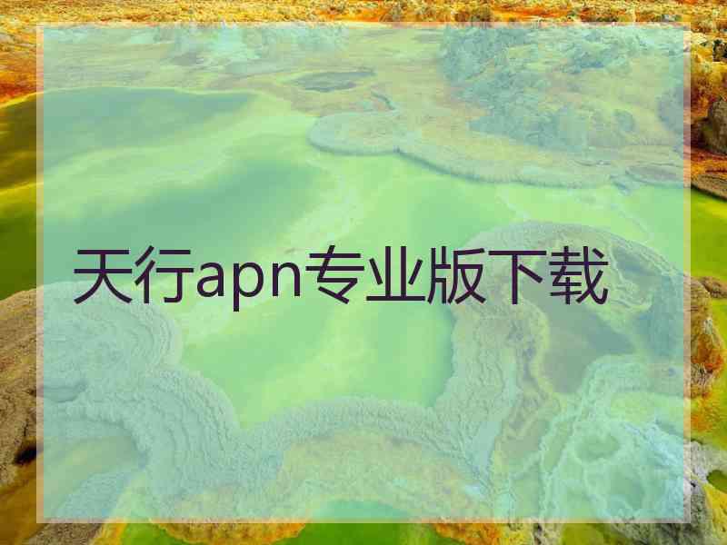 天行apn专业版下载