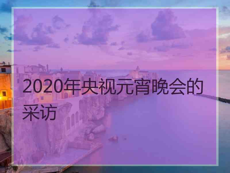 2020年央视元宵晚会的采访