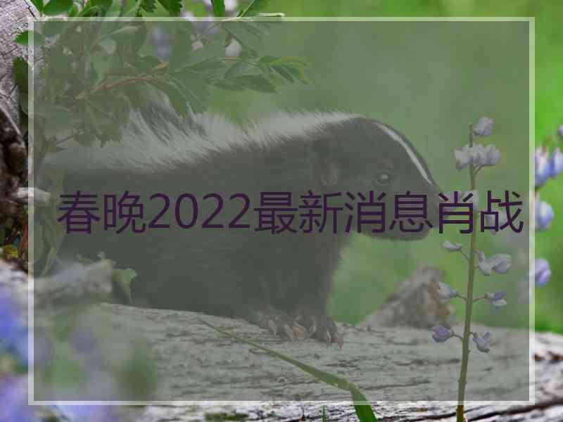 春晚2022最新消息肖战