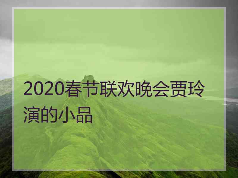 2020春节联欢晚会贾玲演的小品