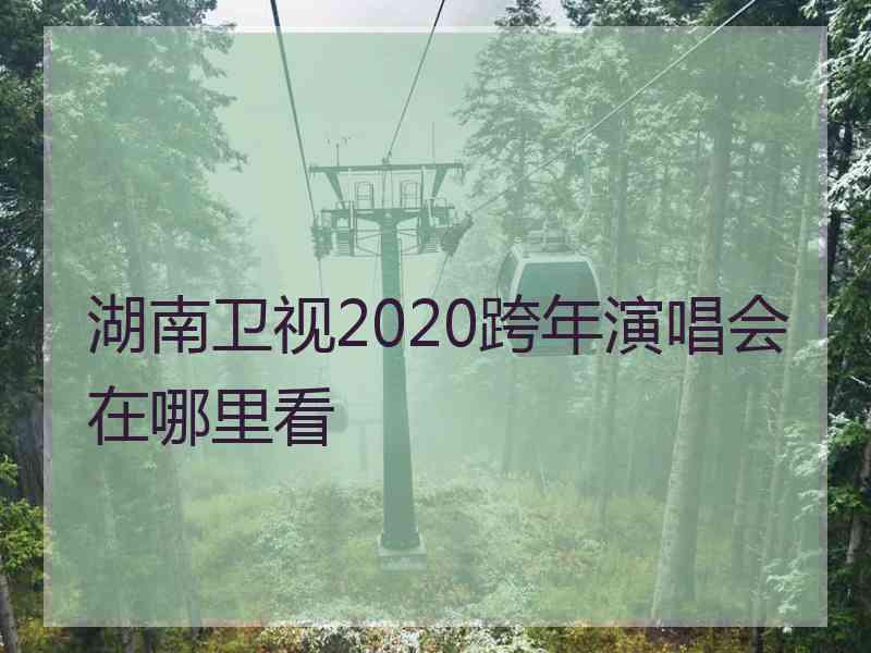 湖南卫视2020跨年演唱会在哪里看