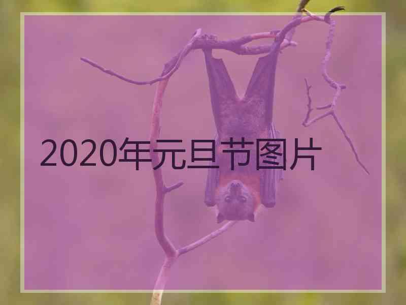 2020年元旦节图片