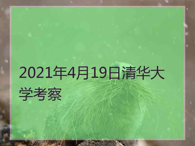 2021年4月19日清华大学考察