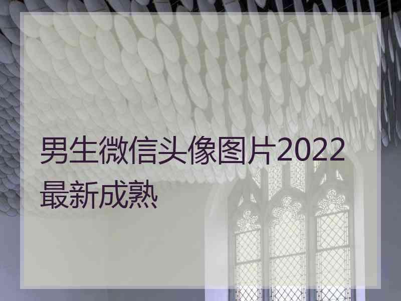 男生微信头像图片2022最新成熟