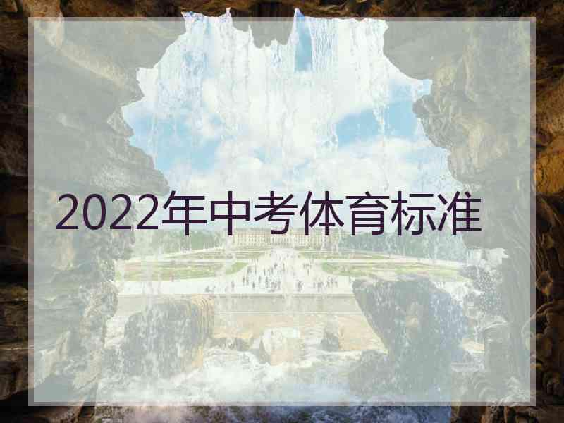 2022年中考体育标准