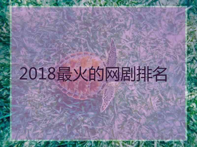 2018最火的网剧排名