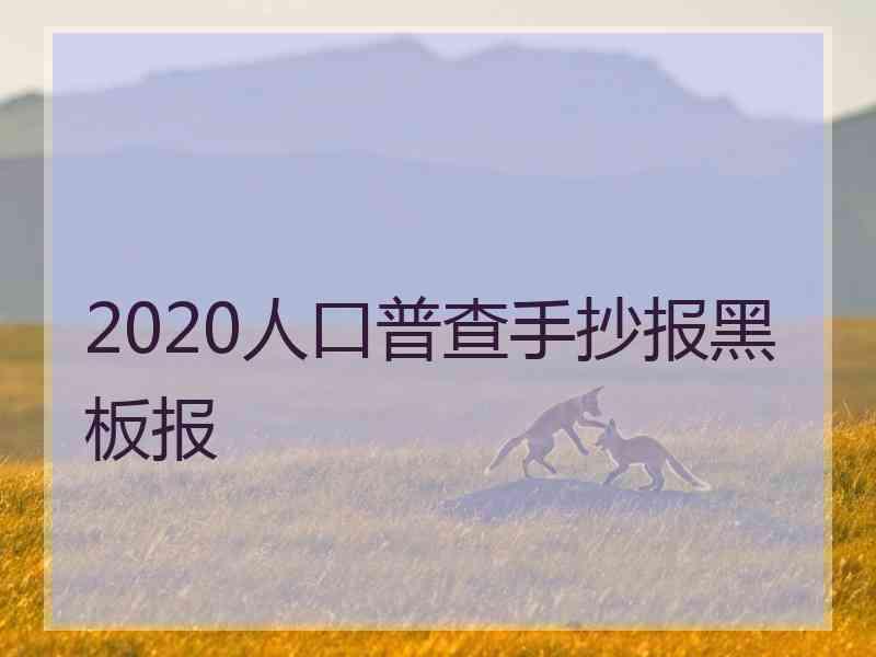 2020人口普查手抄报黑板报