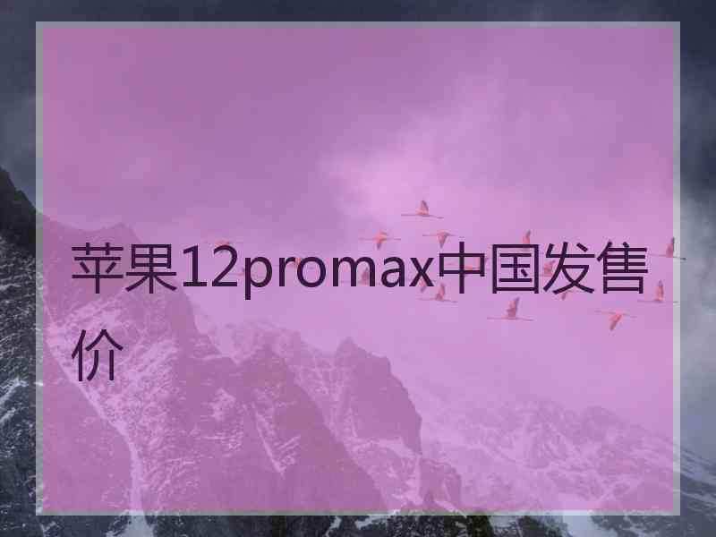 苹果12promax中国发售价