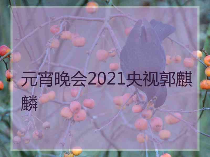 元宵晚会2021央视郭麒麟