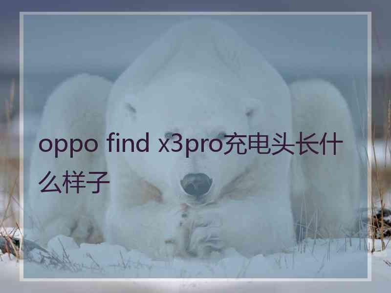 oppo find x3pro充电头长什么样子