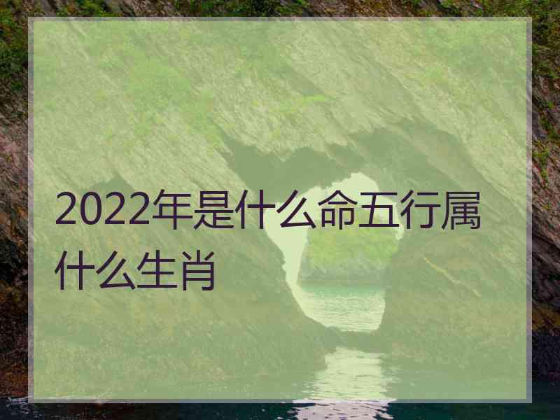 2022年是什么命五行属什么生肖