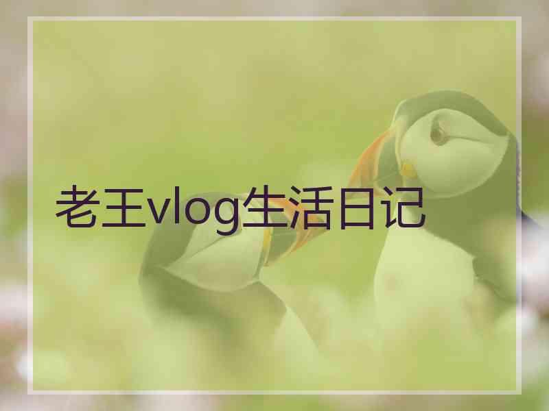 老王vlog生活日记