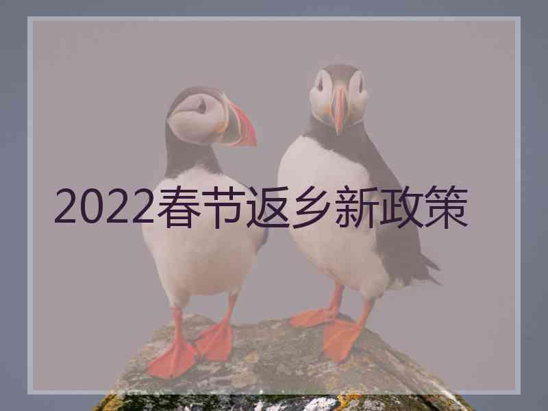 2022春节返乡新政策