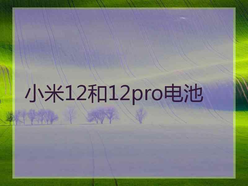 小米12和12pro电池