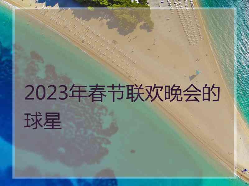 2023年春节联欢晚会的球星