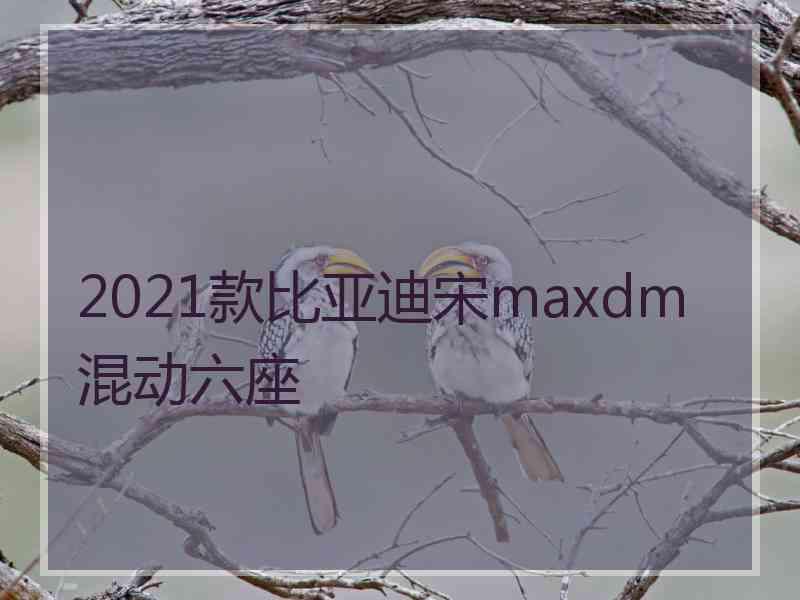 2021款比亚迪宋maxdm混动六座