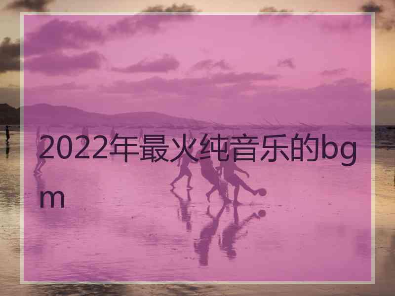 2022年最火纯音乐的bgm