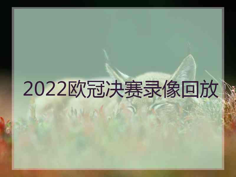 2022欧冠决赛录像回放