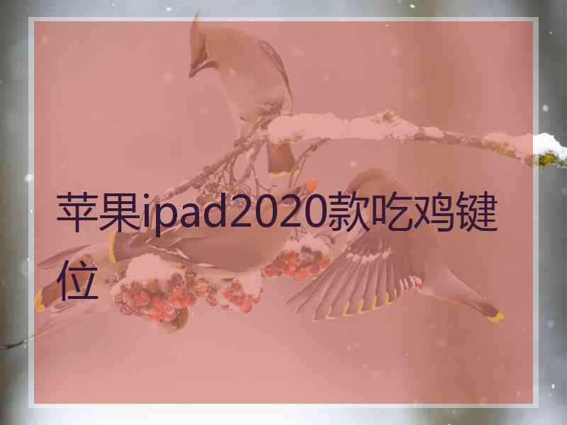 苹果ipad2020款吃鸡键位