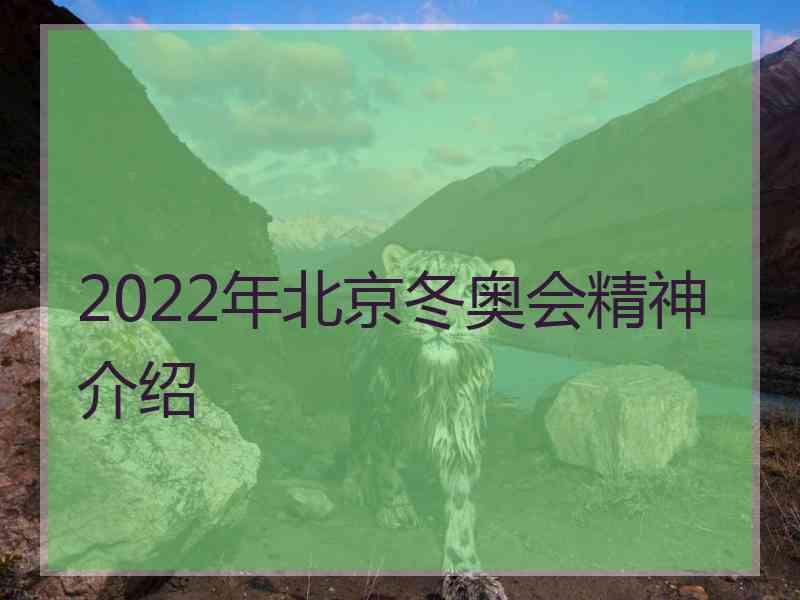 2022年北京冬奥会精神介绍