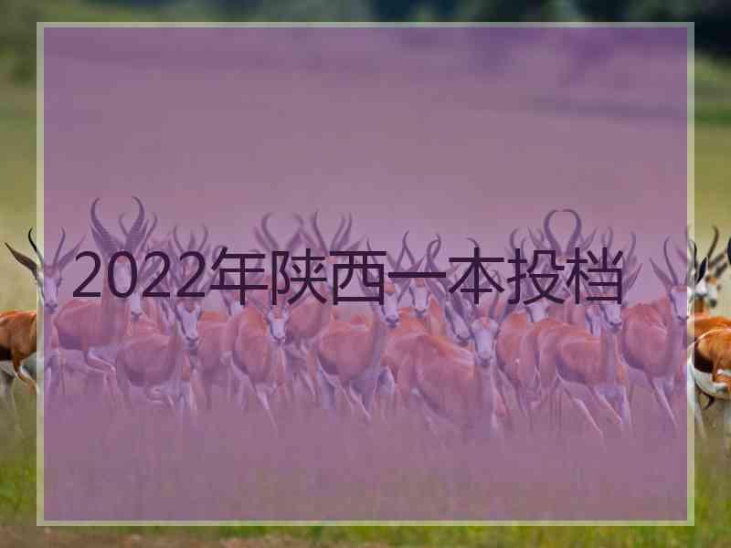 2022年陕西一本投档