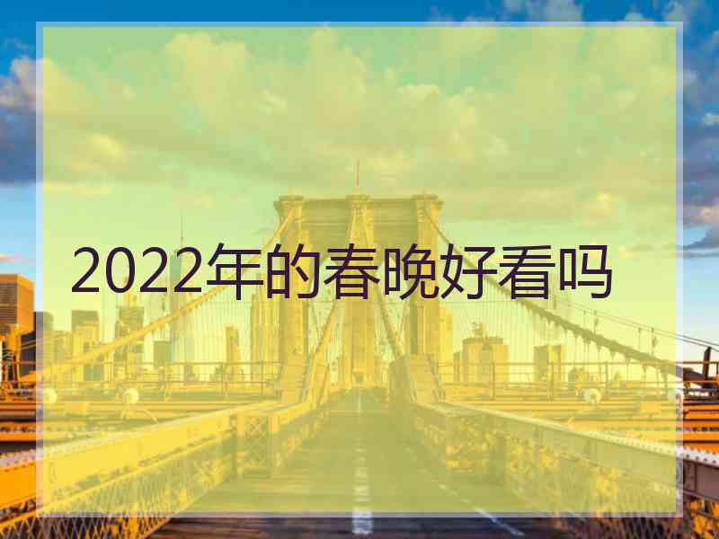 2022年的春晚好看吗