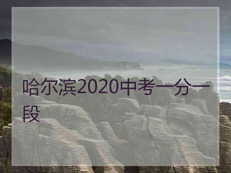 哈尔滨2020中考一分一段