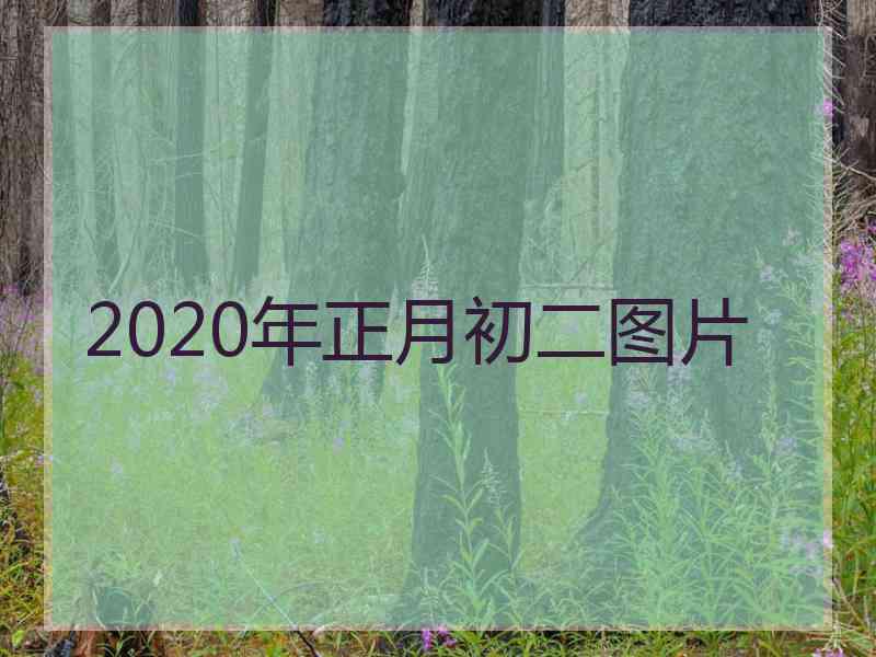 2020年正月初二图片