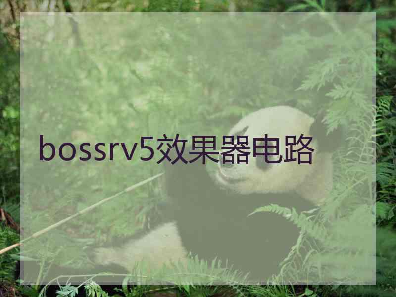 bossrv5效果器电路