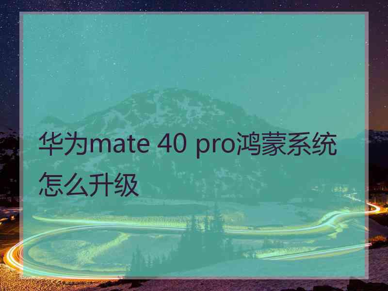 华为mate 40 pro鸿蒙系统怎么升级