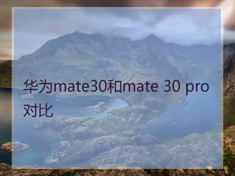 华为mate30和mate 30 pro对比