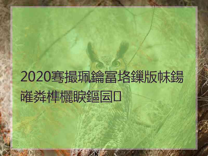 2020骞撮珮鑰冨垎鏁版帓鍚嶉粦榫欐睙鏂囩