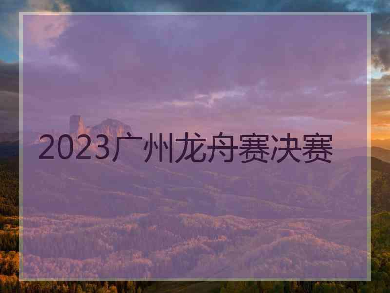 2023广州龙舟赛决赛