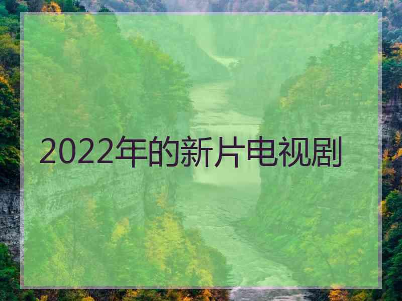 2022年的新片电视剧