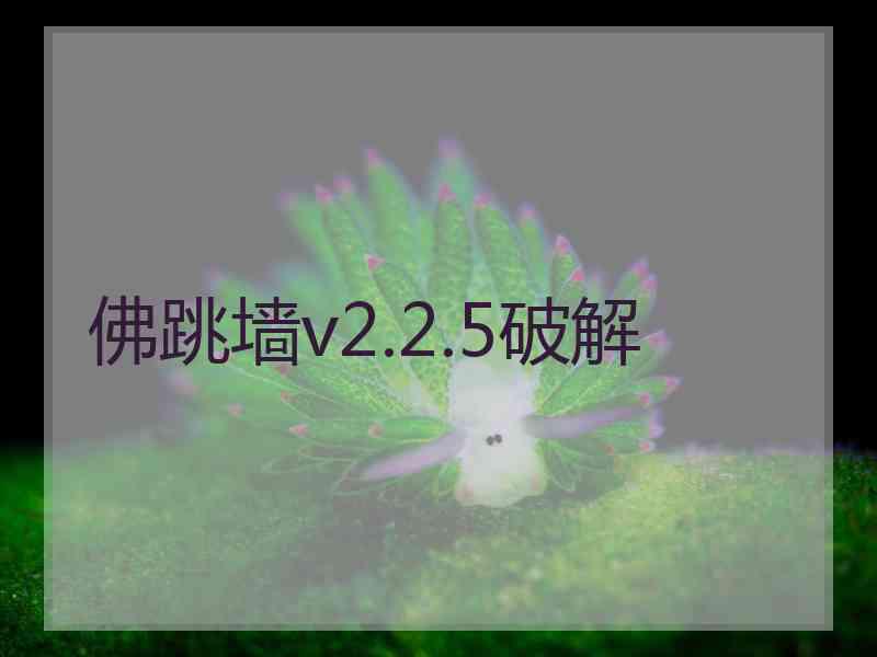 佛跳墙v2.2.5破解