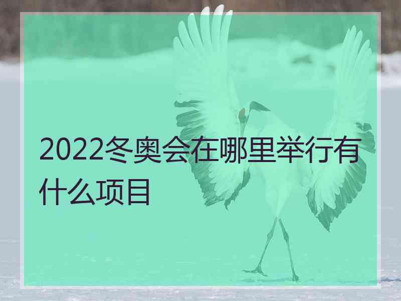 2022冬奥会在哪里举行有什么项目