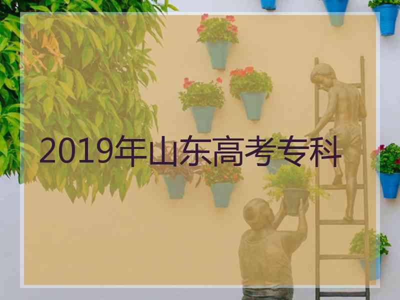 2019年山东高考专科