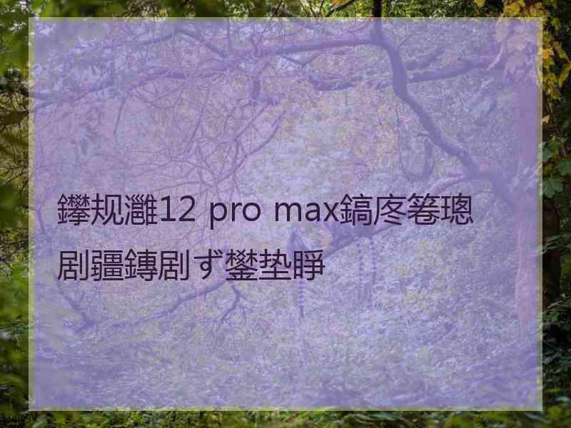 鑻规灉12 pro max鎬庝箞璁剧疆鏄剧ず鐢垫睜