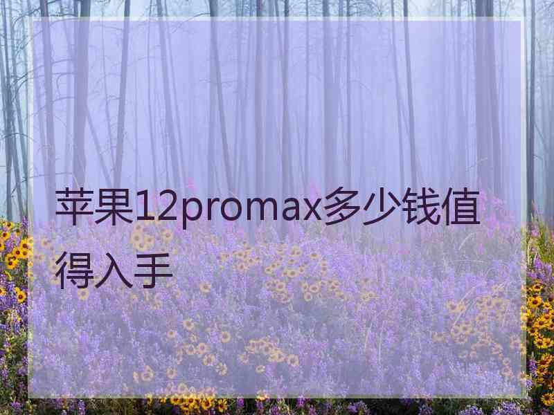 苹果12promax多少钱值得入手