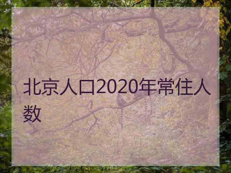 北京人口2020年常住人数