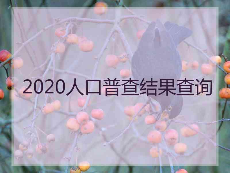 2020人口普查结果查询