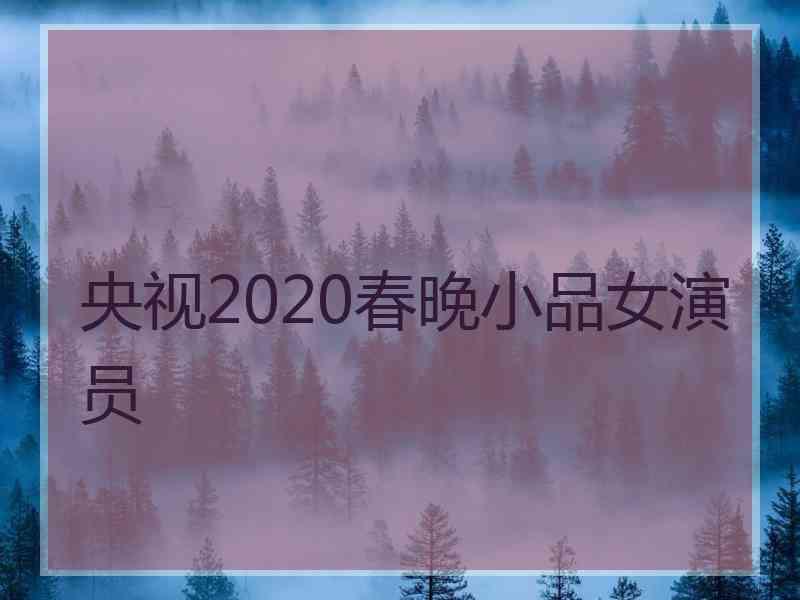 央视2020春晚小品女演员