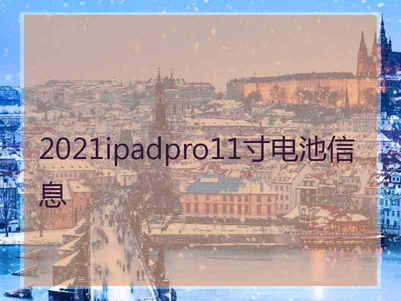 2021ipadpro11寸电池信息