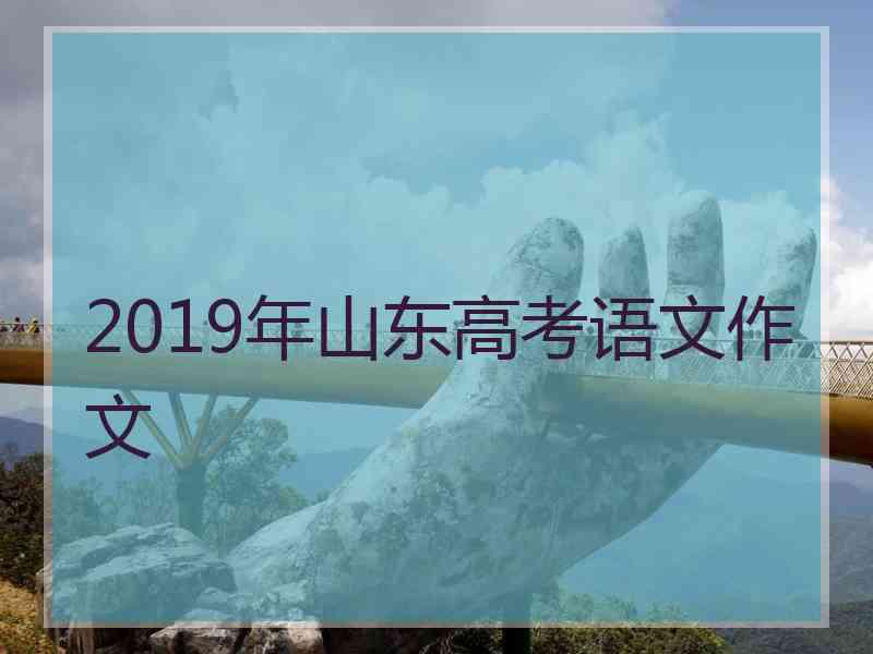 2019年山东高考语文作文