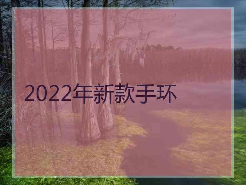 2022年新款手环